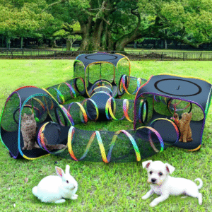 Outdoor Rainbow Cat Enclosure